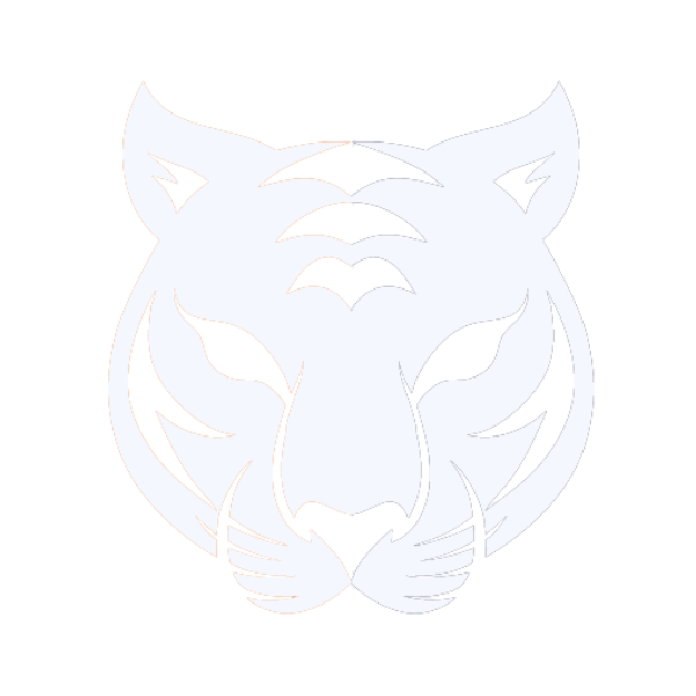 Amur Digital